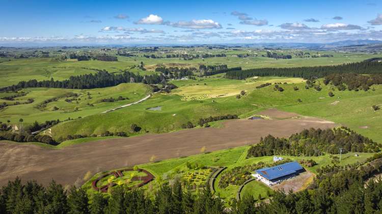 135 Willowford Road Waiwhare_29
