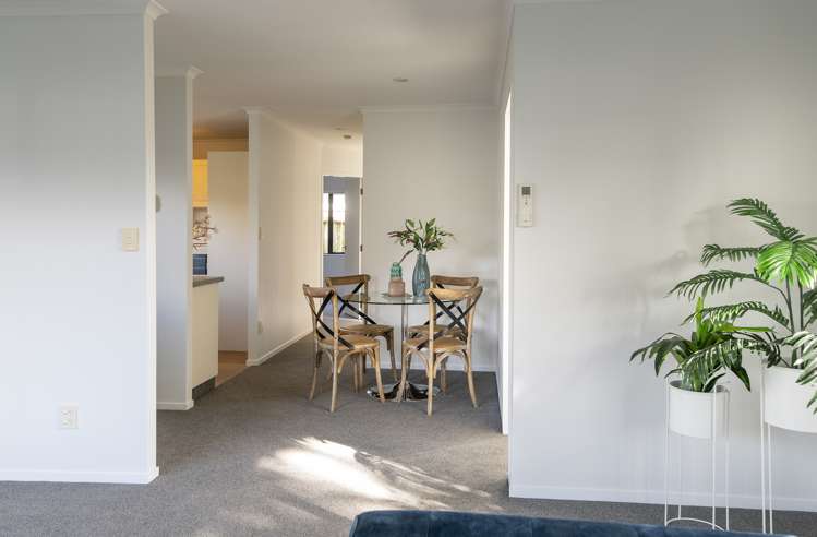 4b Clark Street Levin_11