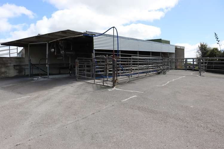 96 Lower Hunter Road Hawera_9