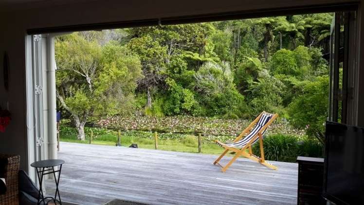 211 Onemana Drive Onemana_4