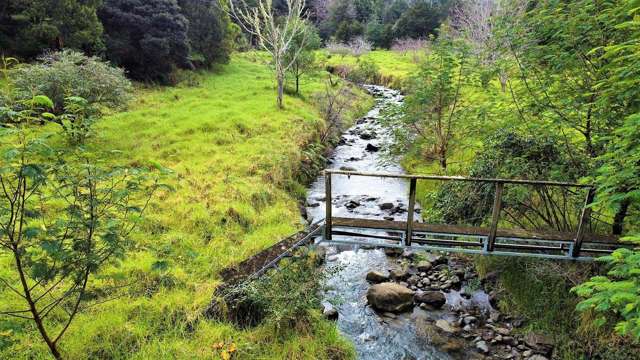 Wekaweka Road Waimamaku_2