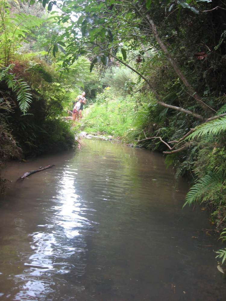 1242 Russell Road Helena Bay_30