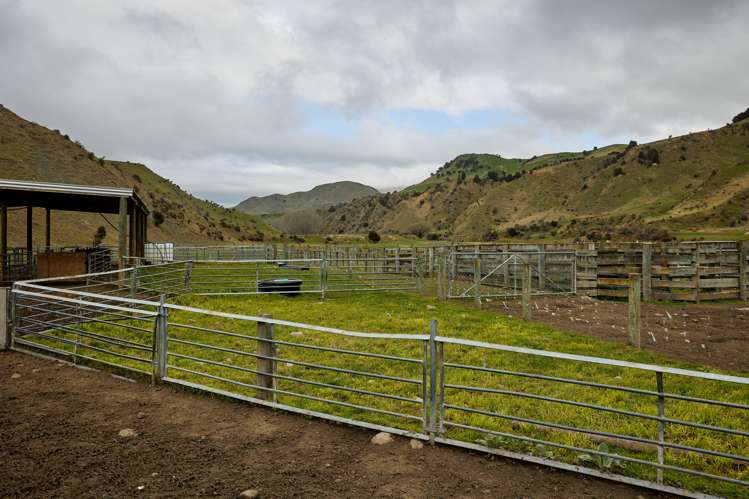 3717 Inland Kaikoura Road Mt Lyford_20