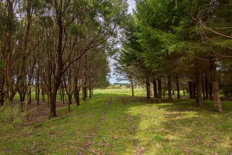 960 Norfolk Road Carterton_16