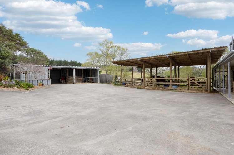 438 Blackbridge Road Dairy Flat_21