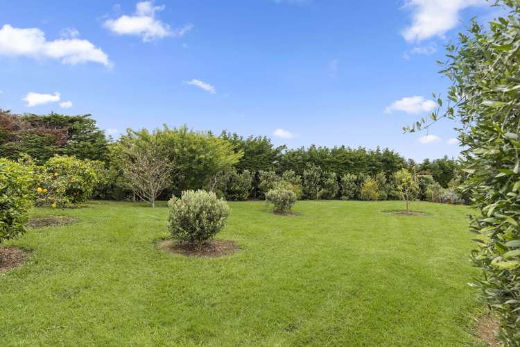 7 Titoki Way Waiau Pa_9