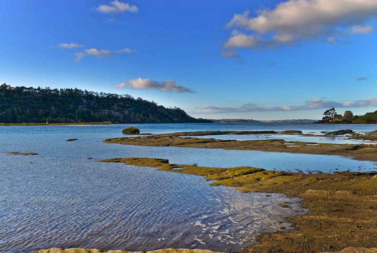 136 Okura River Road Okura_43