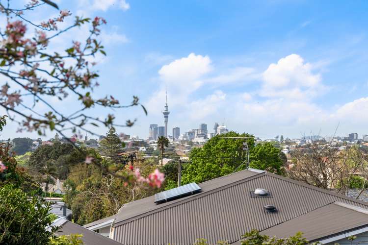 88 Lloyd Avenue Mount Albert_1