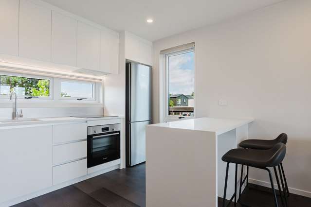 96 Te Puketoka Lane Mangere_1