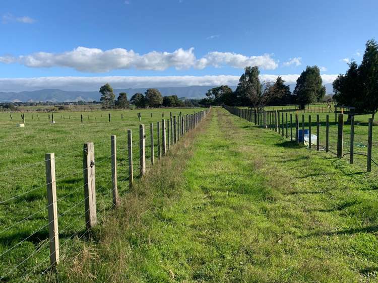 11 Tipapakuku Road Dannevirke_21