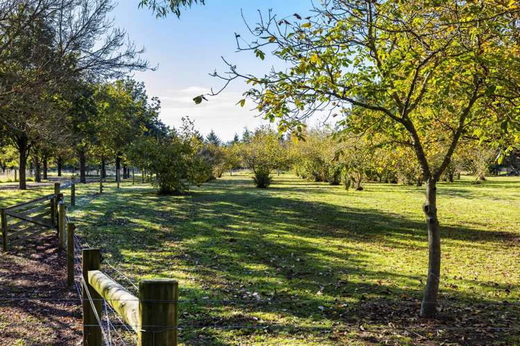 1499 Tram Road Swannanoa_25