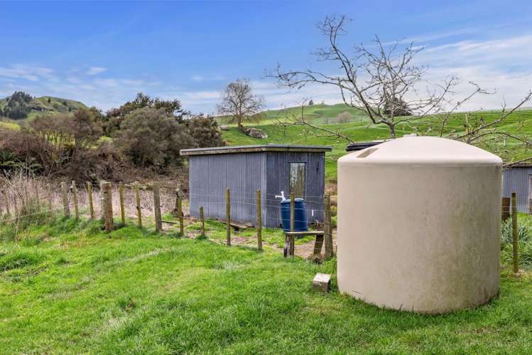 310 Paparamu Road Piarere_22