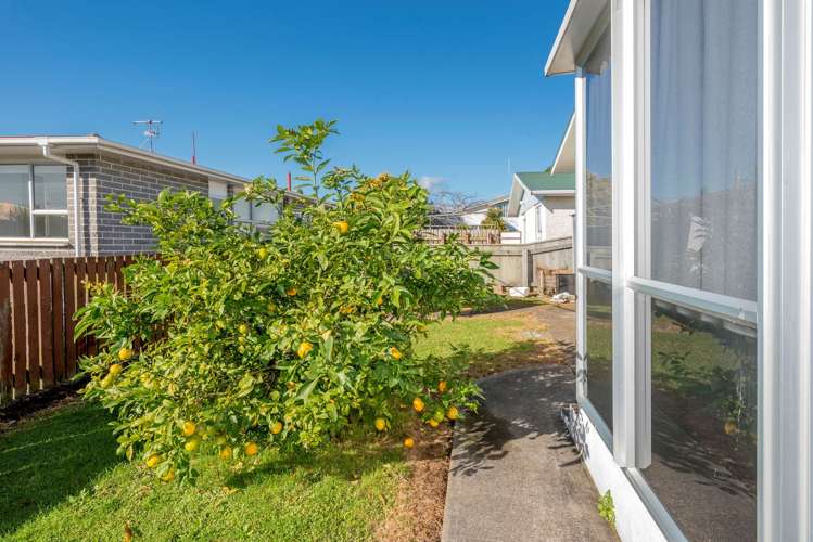 53 Liverpool Street Levin_8