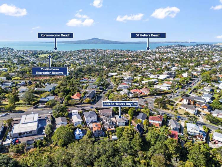 338 Saint Heliers Bay Road Saint Heliers_23