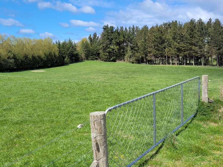 Waimotu Road Herbert_10