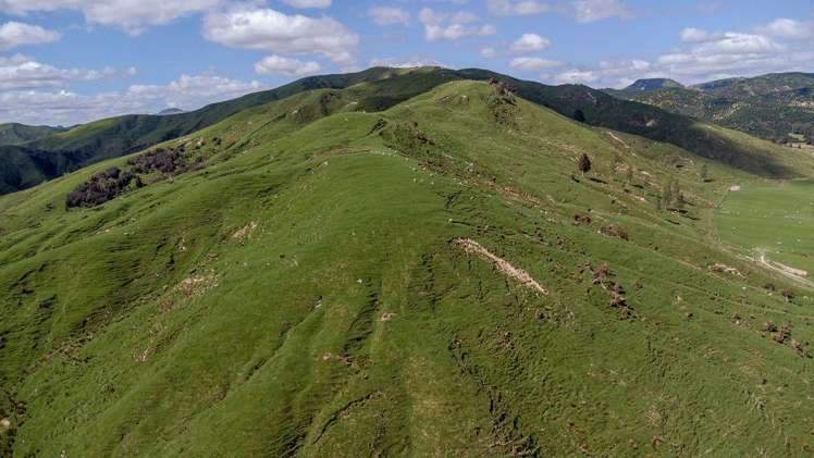 1614 Hinemoa Valley Road Pahiatua_9