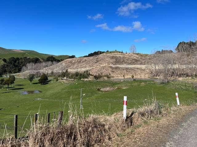 Address withheld Dannevirke_1