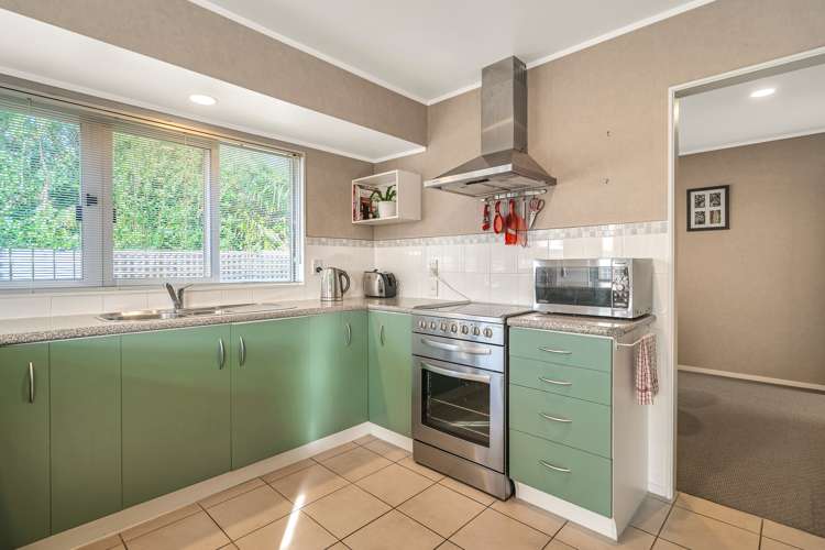 10 Maurice Borich Place Henderson_7