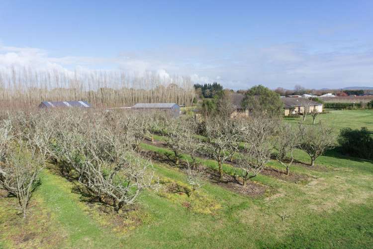 42 Reynolds Road Horsham Downs_18