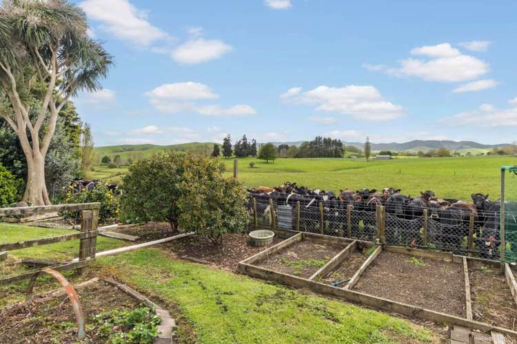 26 Monument Road Maramarua_19