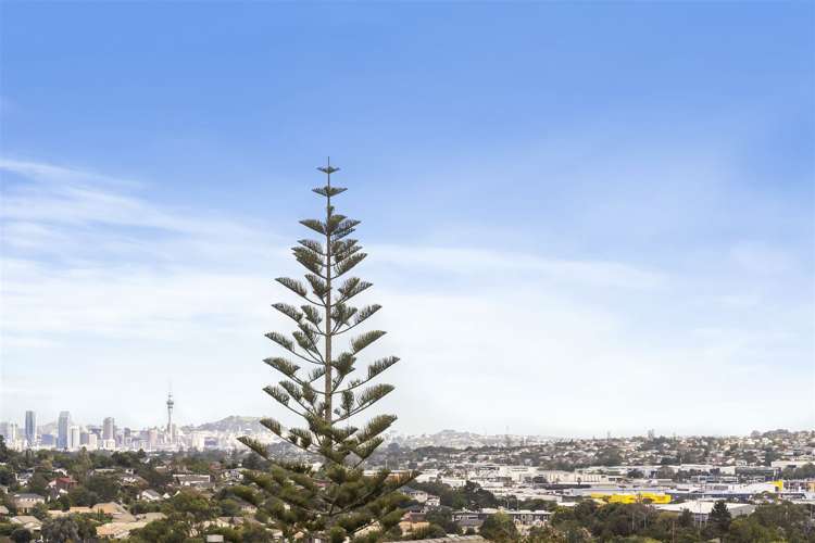 42 Juniper Road Sunnynook_14