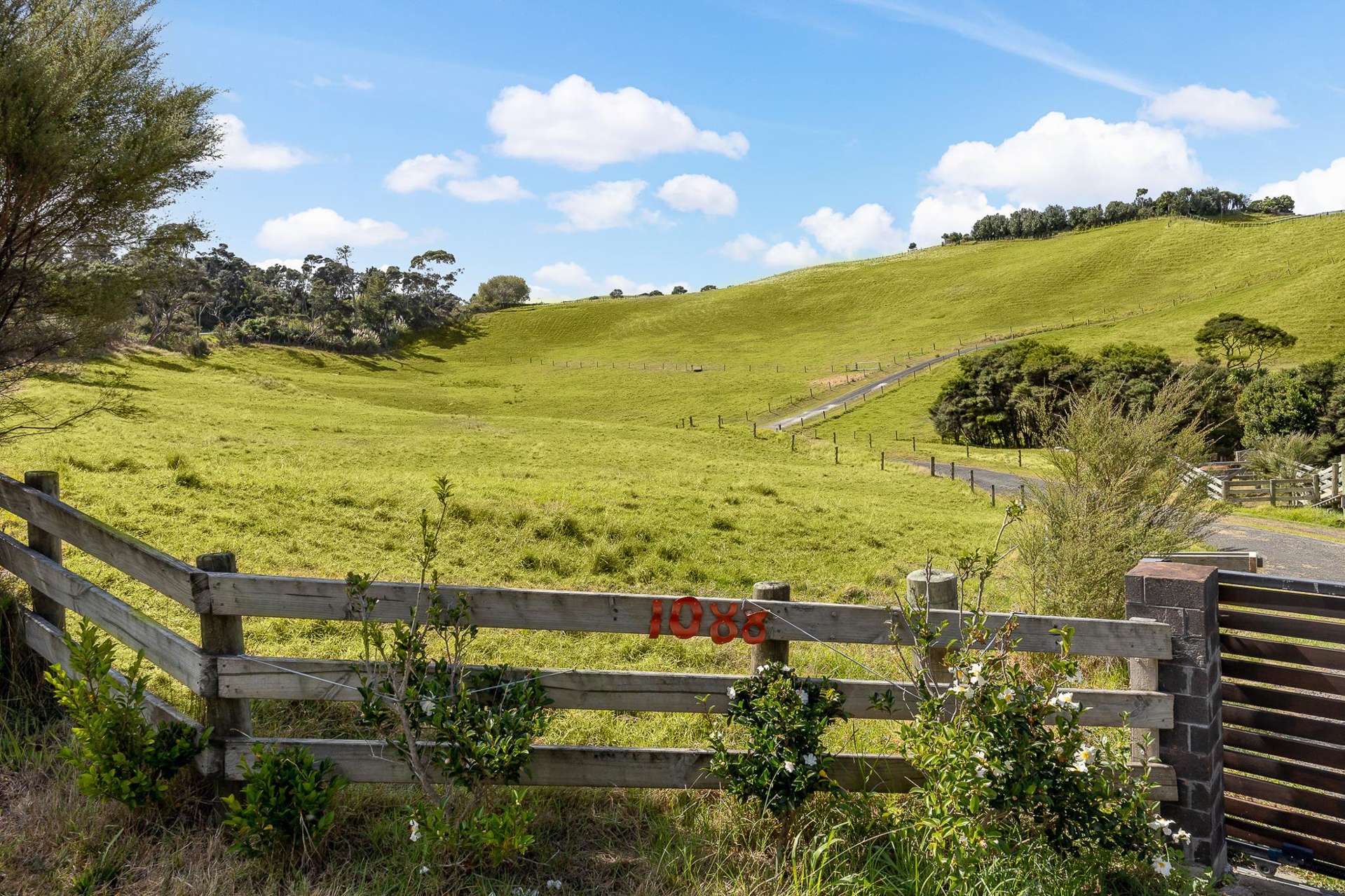 1088 South Head Road South Head_0