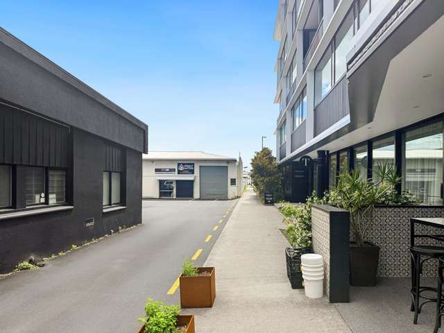 222 Tristram street Hamilton Central_1