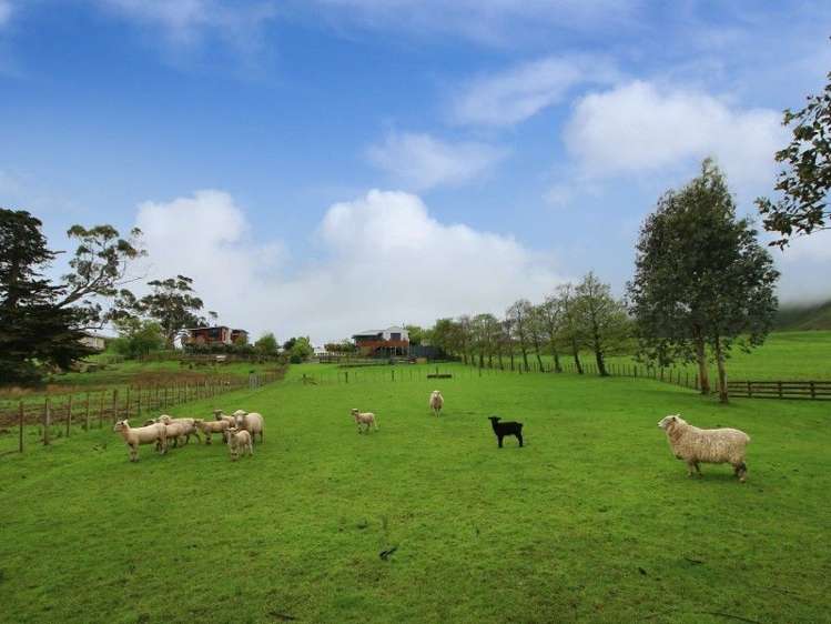 88 Tokomaru East Road Tokomaru_17