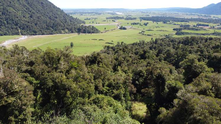 254 Doughboy Road Kokatahi_76