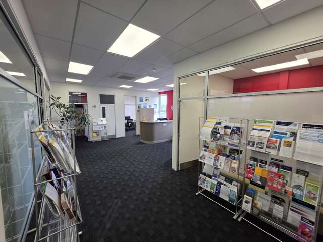 101A Chapel Street Masterton_1