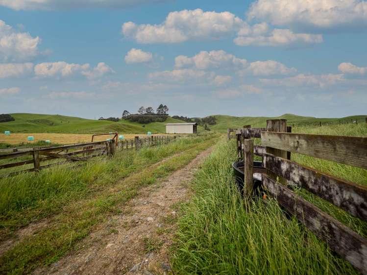 932 Kopuku Road Maramarua_2