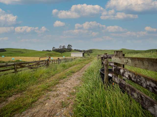 932 Kopuku Road Maramarua_2