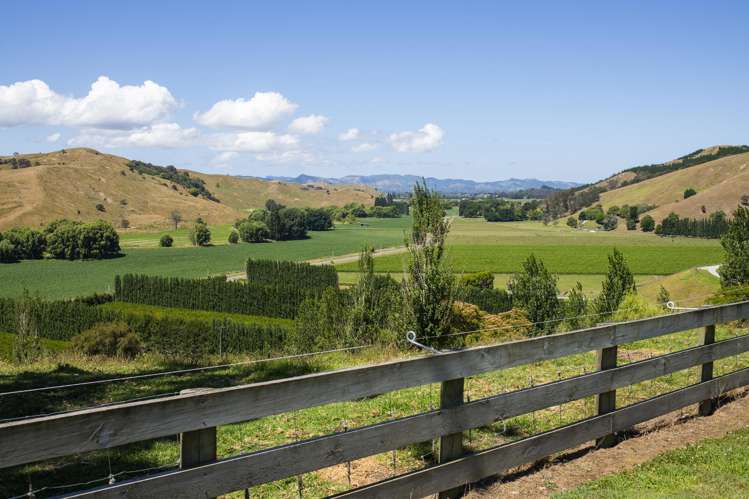 909A Wharekopae Road Ngatapa_3