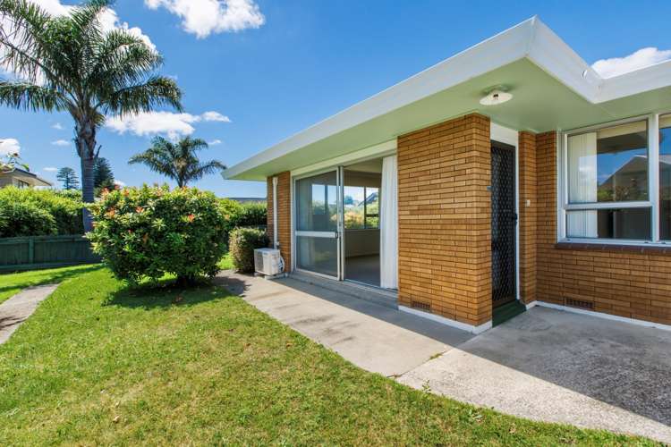 285 Otumoetai Road Otumoetai_11