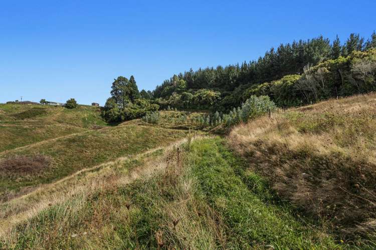 1207C Stanley Road Whakatane_10