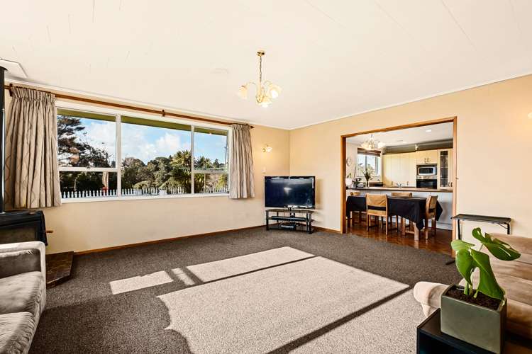 114 Huatoki Street Frankleigh Park_7