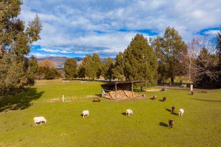 4023 Northbank Road Wairau Valley_21
