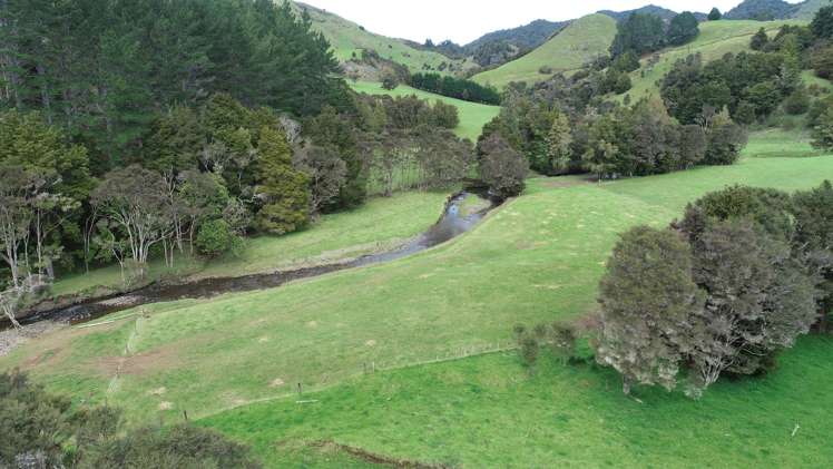 1659 Mataraua Road Kaikohe West_5