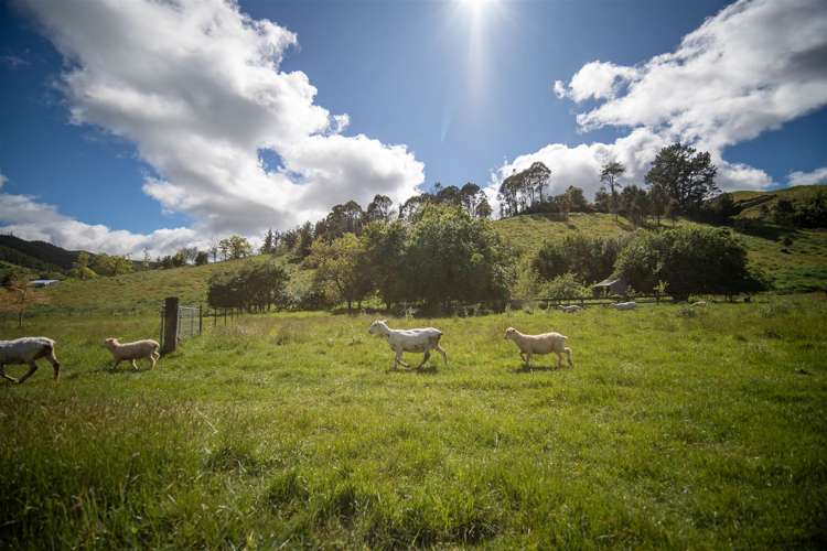 237 Win Valley Road Dovedale_20