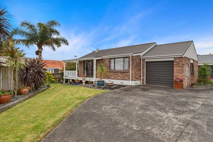 428d Thames Street Morrinsville_13