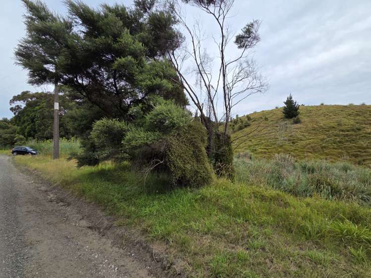 Wilson Road South Head_4