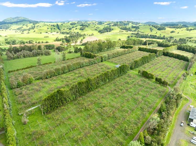 100E Hodge Road Ruatangata West_14