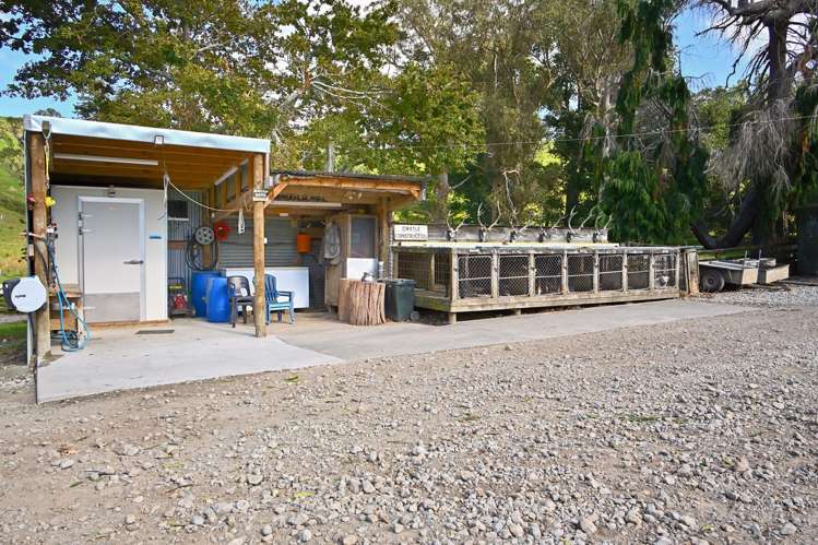 1678 Tiniroto Road Waerenga-O-Kuri_20