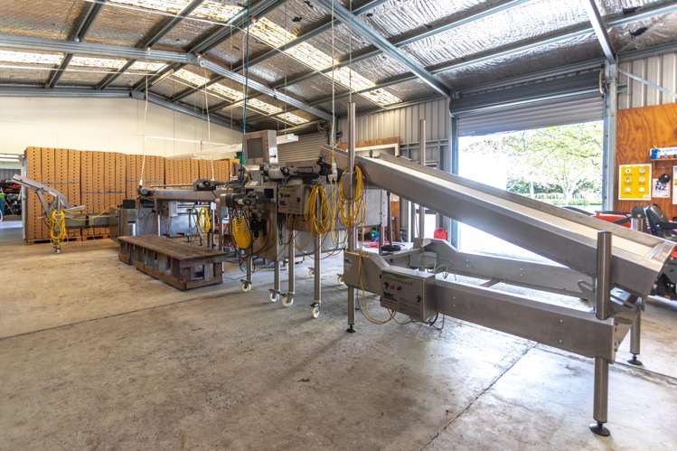 5932 State Highway 27 Ngarua_9