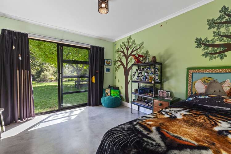 363 Roydon Downs Road Paengaroa_7