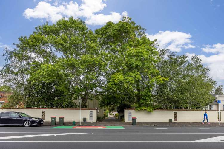 296 Manukau Road Epsom_13