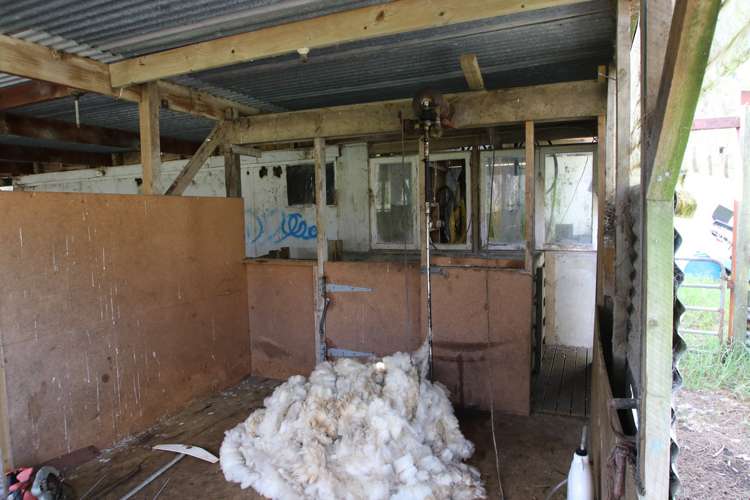 2418 Kaitaia Awaroa Road Herekino_21