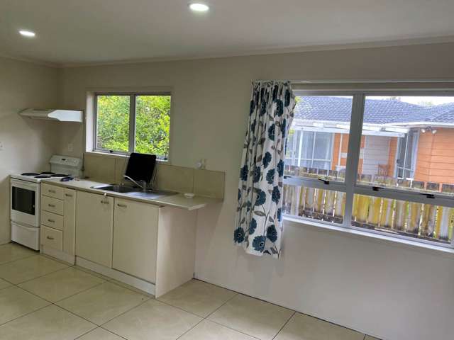 8 Pukeroa Place Papakura_4