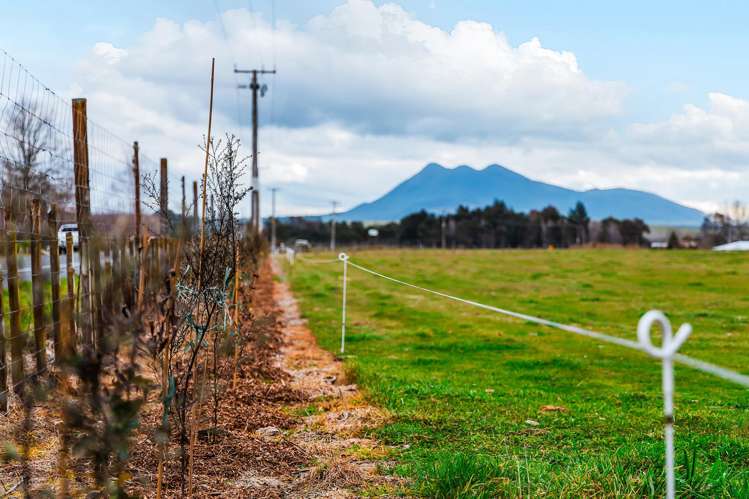 1777 Broadlands Road Broadlands Forest_13