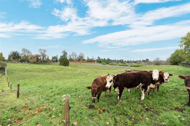 2636 River Road Horsham Downs_37